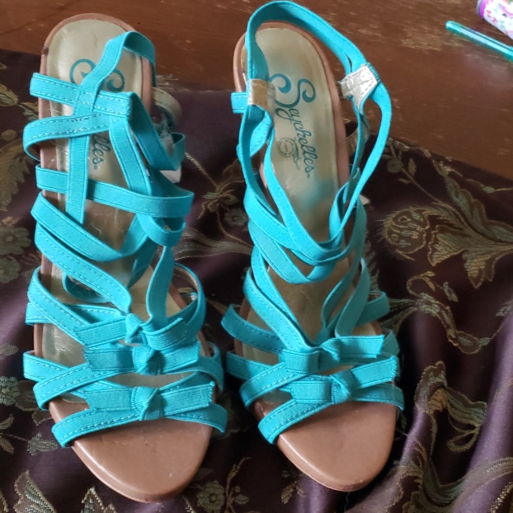 Higheel Shoes